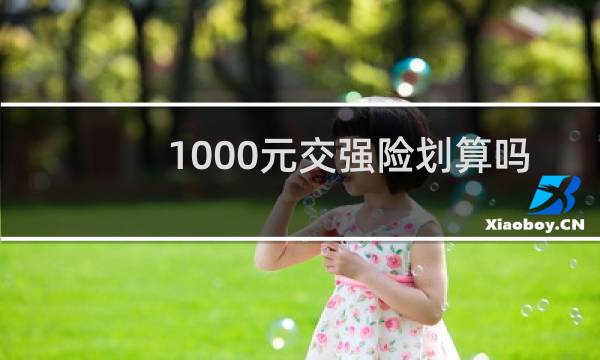 1000元交强险划算吗