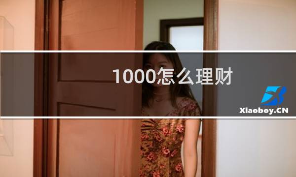 1000怎么理财