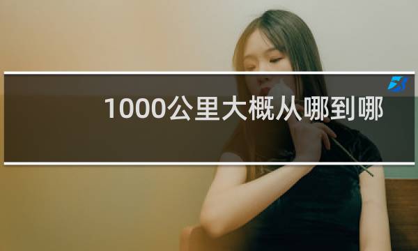 1000公里大概从哪到哪