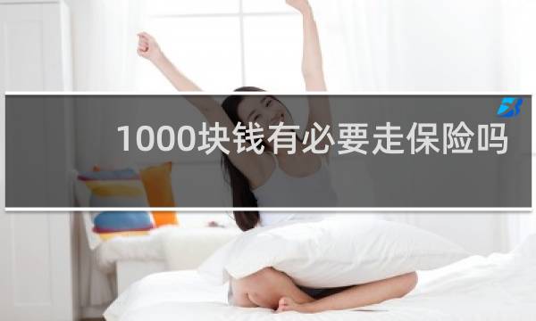 1000块钱有必要走保险吗