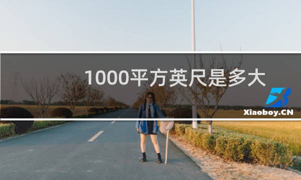 1000平方英尺是多大
