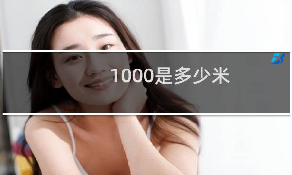 1000是多少米