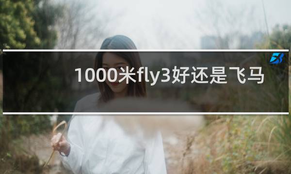 1000米fly3好还是飞马37好