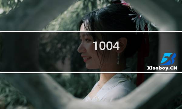1004 攻略