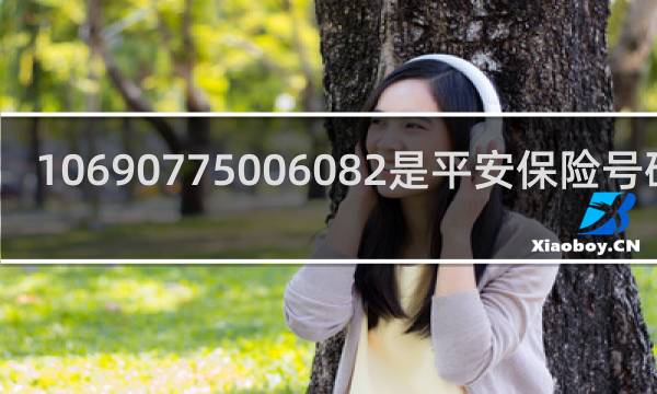 10690775006082是平安保险号码吗
