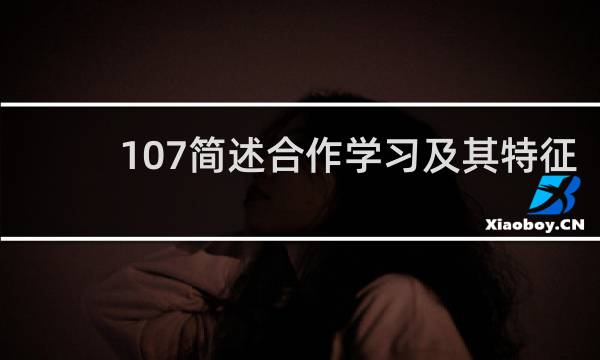 107简述合作学习及其特征