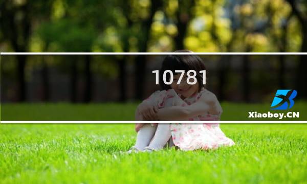 10781.1和10781.3是什么酒