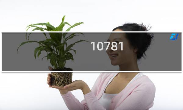 10781.8是什么标准的酒