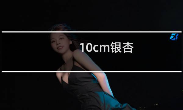 10cm银杏