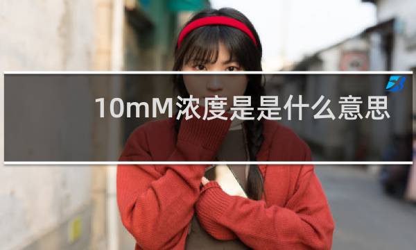 10mM浓度是是什么意思