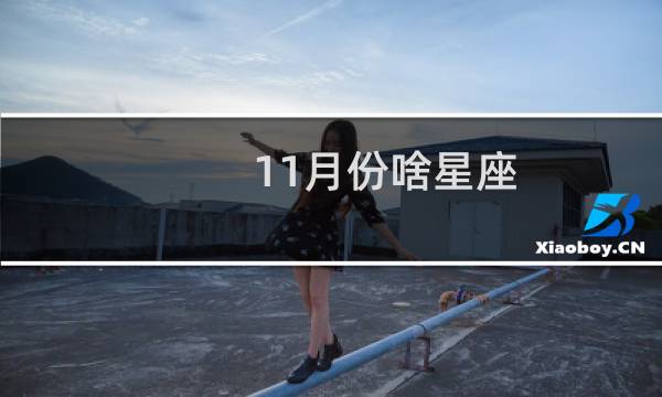 11月份啥星座
