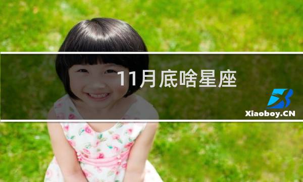 11月底啥星座