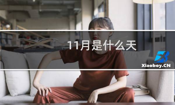 11月是什么天