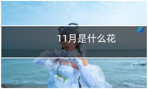 11月是什么花