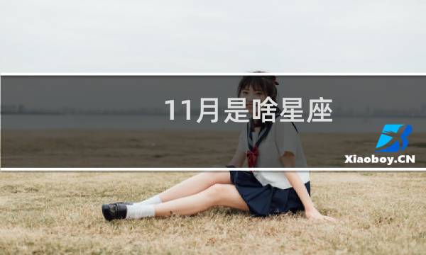11月是啥星座