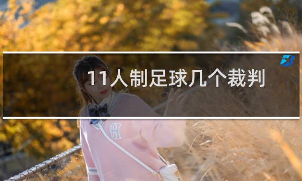 11人制足球几个裁判