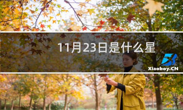 11月23日是什么星座(11月23日出生的是什么星座)
