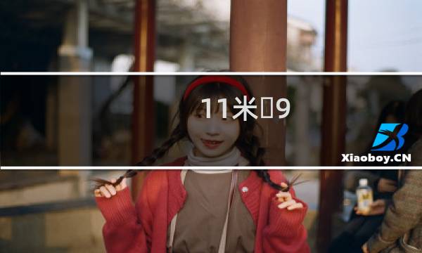 11米�9.5米房屋设计