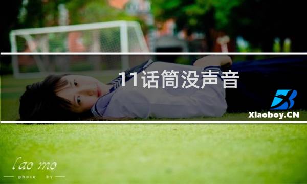 11话筒没声音图片