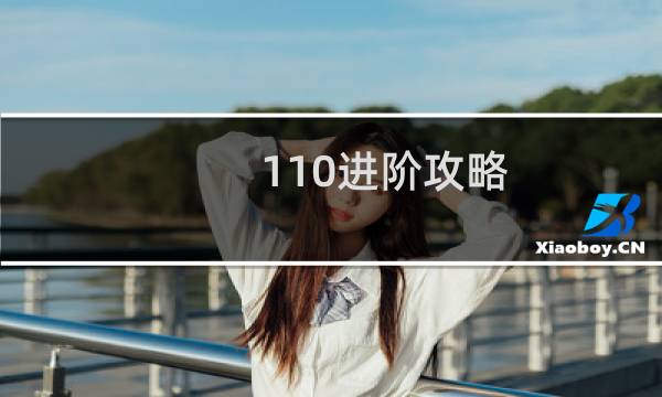 110进阶攻略
