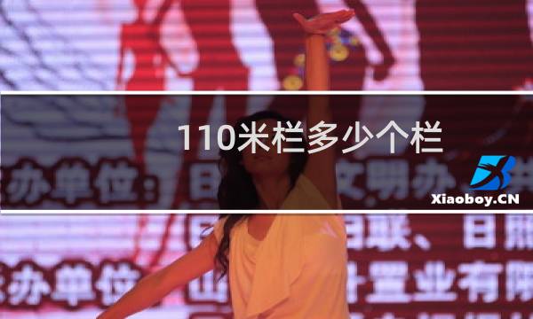 110米栏多少个栏