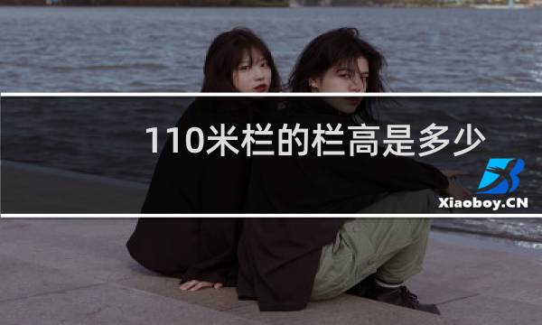 110米栏的栏高是多少