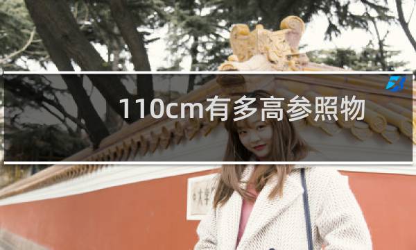 110cm有多高参照物