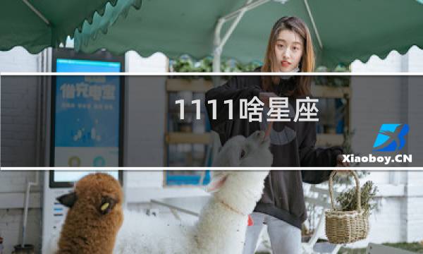 1111啥星座