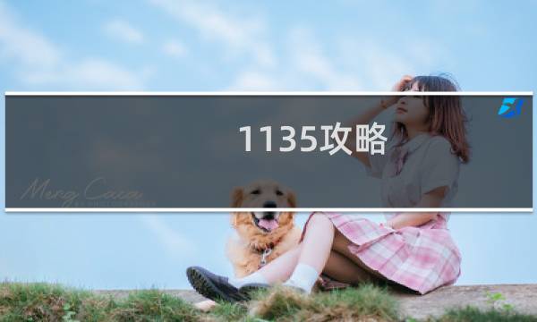 1135攻略
