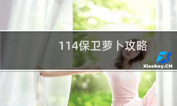 114保卫萝卜攻略