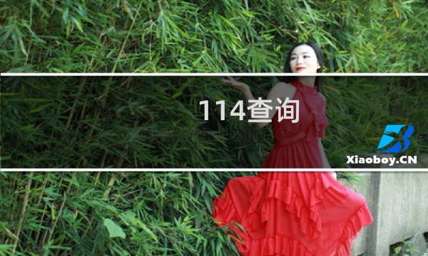 114查询图片