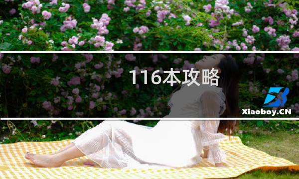 116本攻略