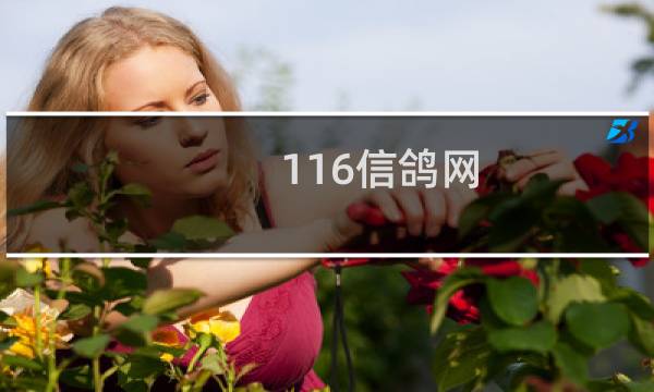 116信鸽网
