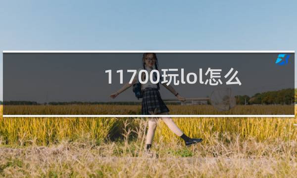 11700玩lol怎么卡图片