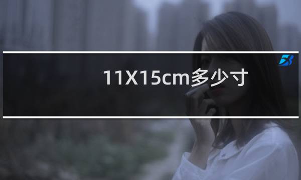 11X15cm多少寸