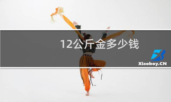 12公斤金多少钱