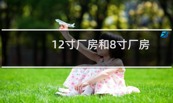 12寸厂房和8寸厂房