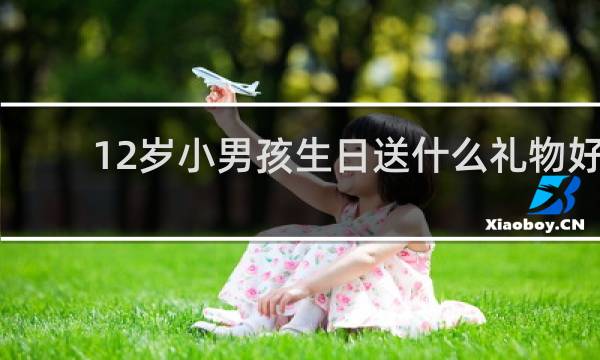 12岁小男孩生日送什么礼物好