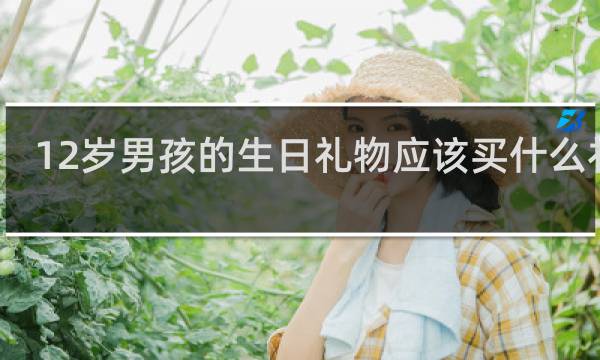 12岁男孩的生日礼物应该买什么礼物