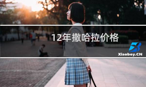 12年撒哈拉价格