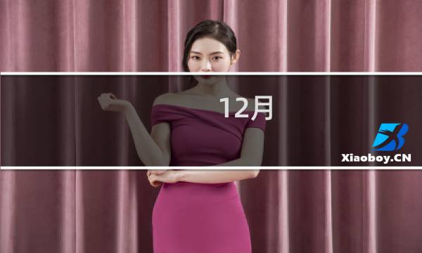 12月 星座
