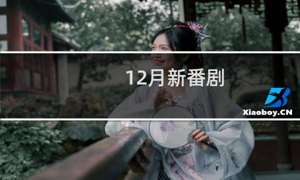12月新番剧