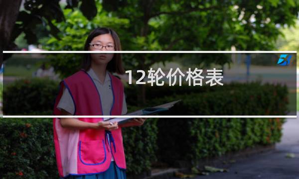 12轮价格表