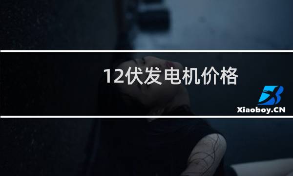 12伏发电机价格图片