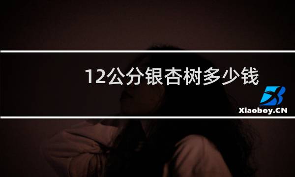 12公分银杏树多少钱