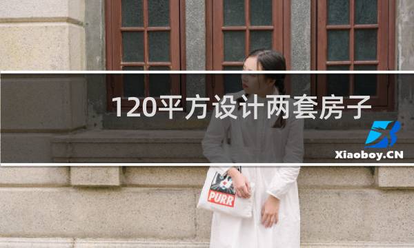 120平方设计两套房子图片