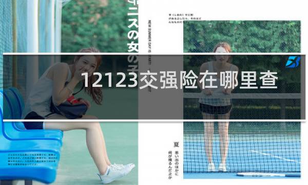 12123交强险在哪里查
