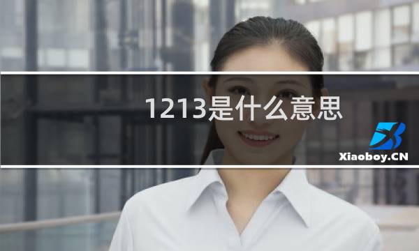 1213是什么意思（1213是什么意思）图片
