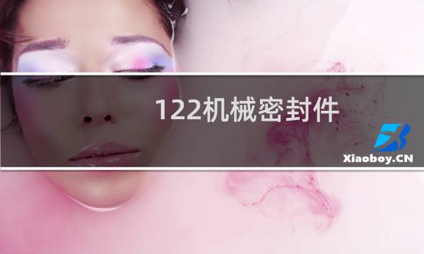 122机械密封件