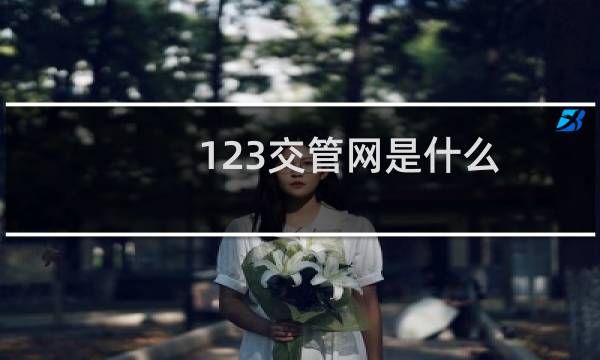 123交管网是什么(交警123官网下载在哪里)